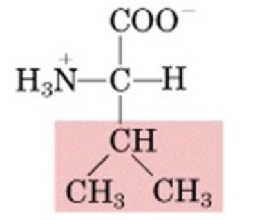<p>What’s this aminoacid?</p>