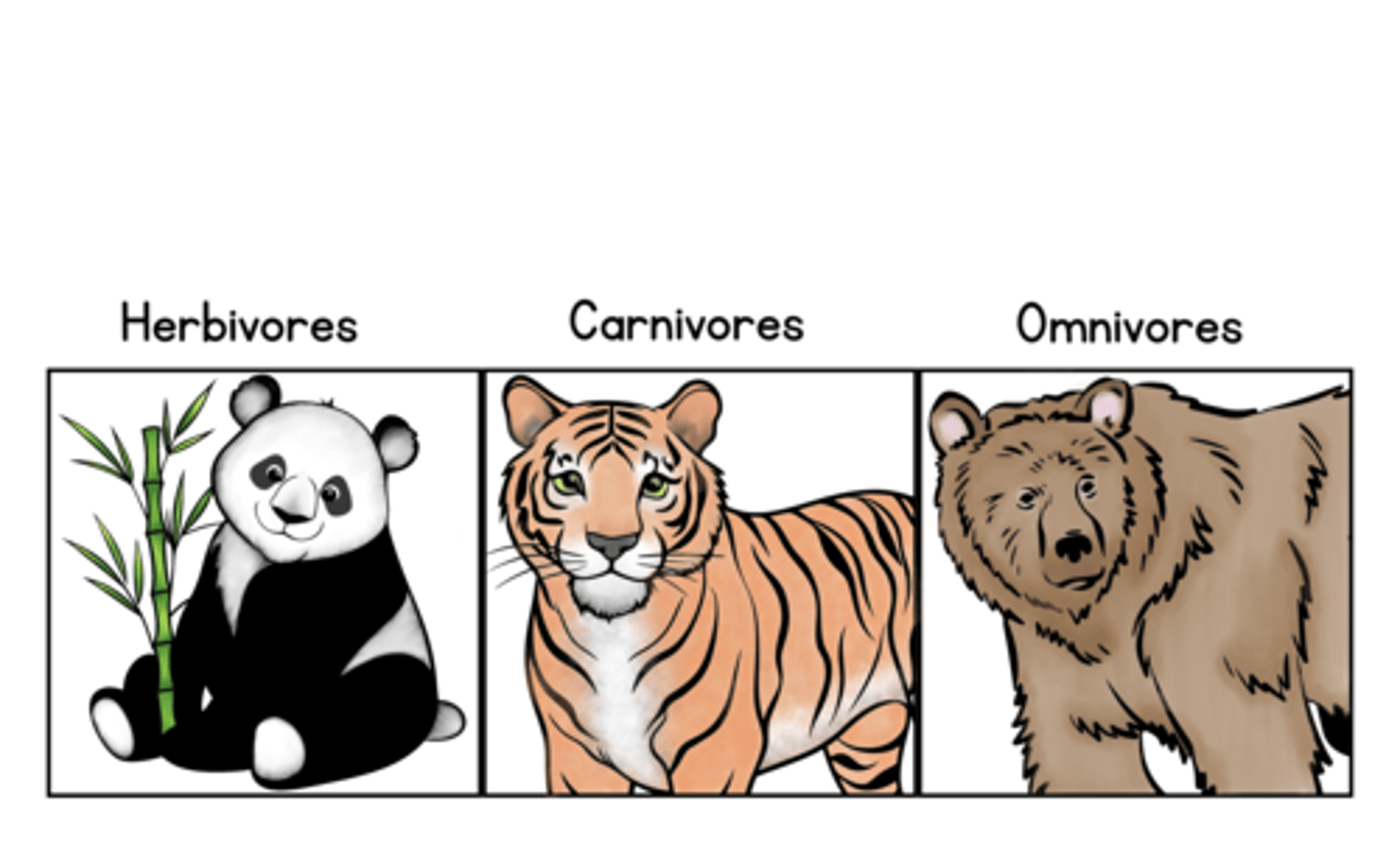 <p>Herbivores</p><p>Carnivores</p><p>Omnivores</p>