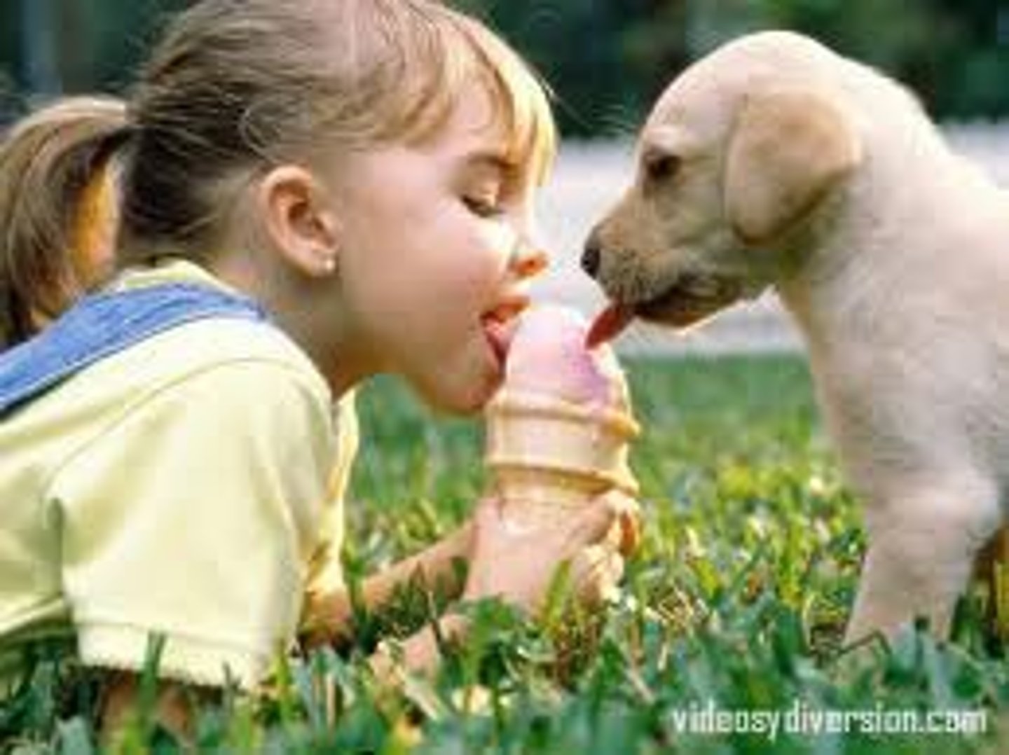 <p>we used to share</p>