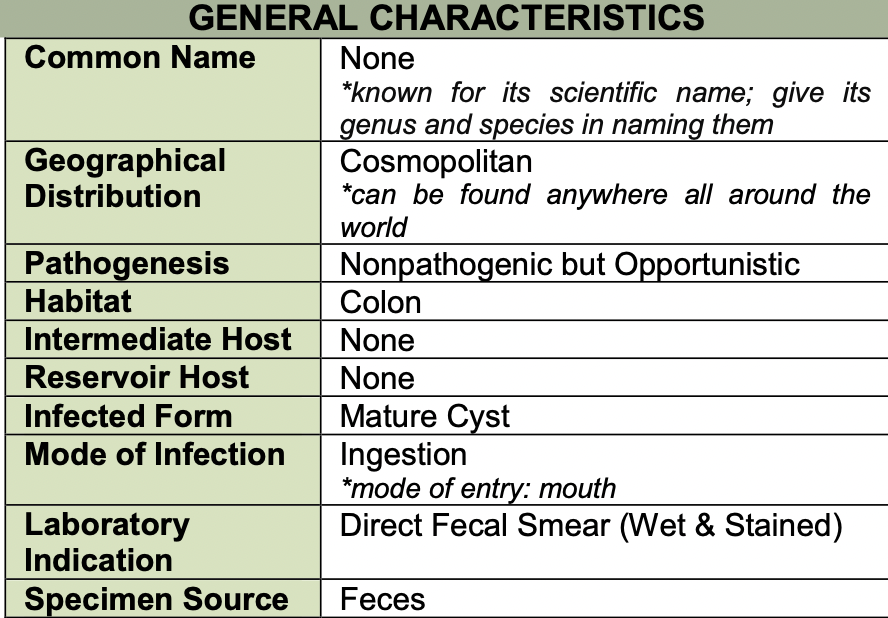 identify the parasite: 