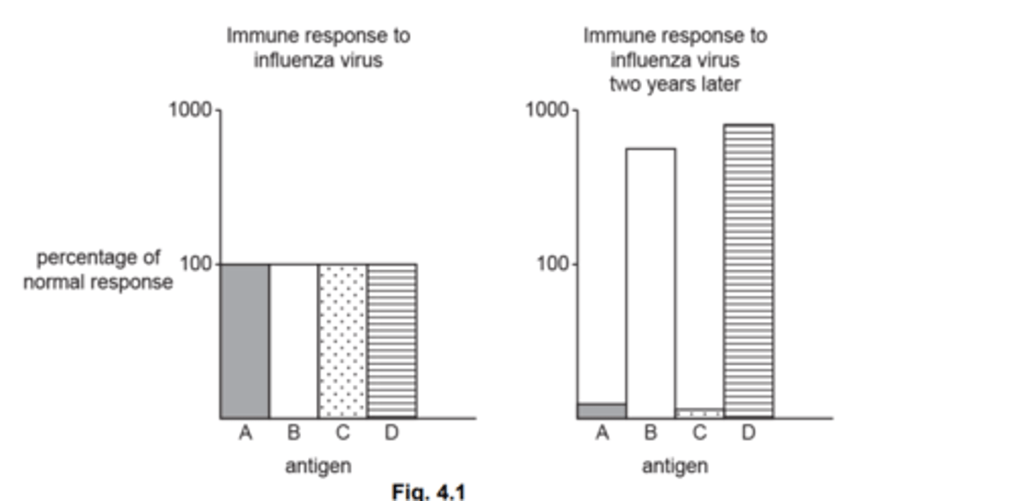 <p>-Some antigens may have mutated.</p>