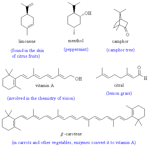 <p>made up of isoprene units (a 5 carbon unit with the formula C5H8)n. Nonpolar and hydrophobic. Known for squalene- the precursor of cholesterol</p>