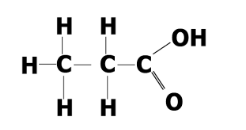 <p>Identify this structure </p>