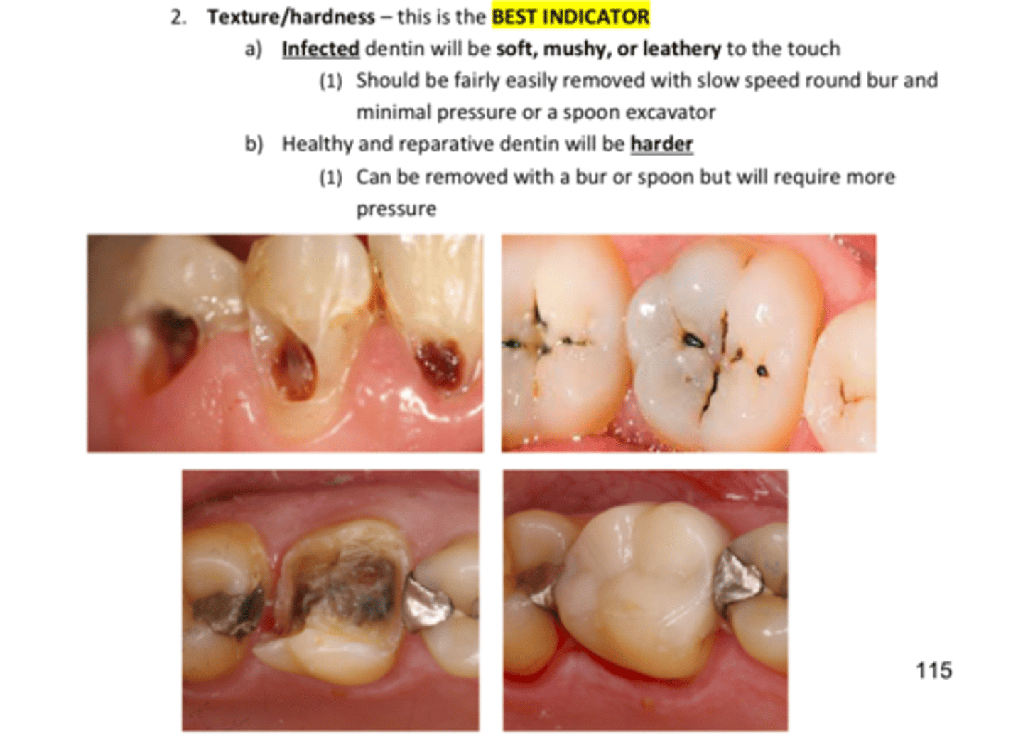 <p>Julias- just review</p>