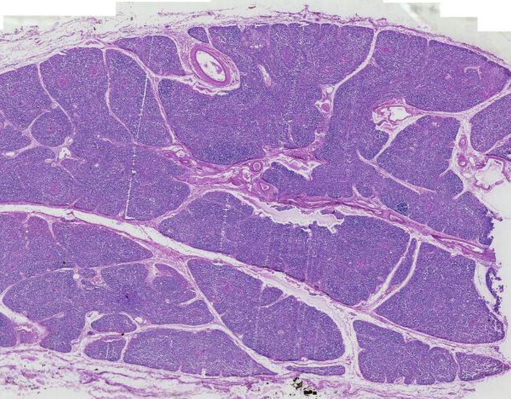 <p>What is this?</p>