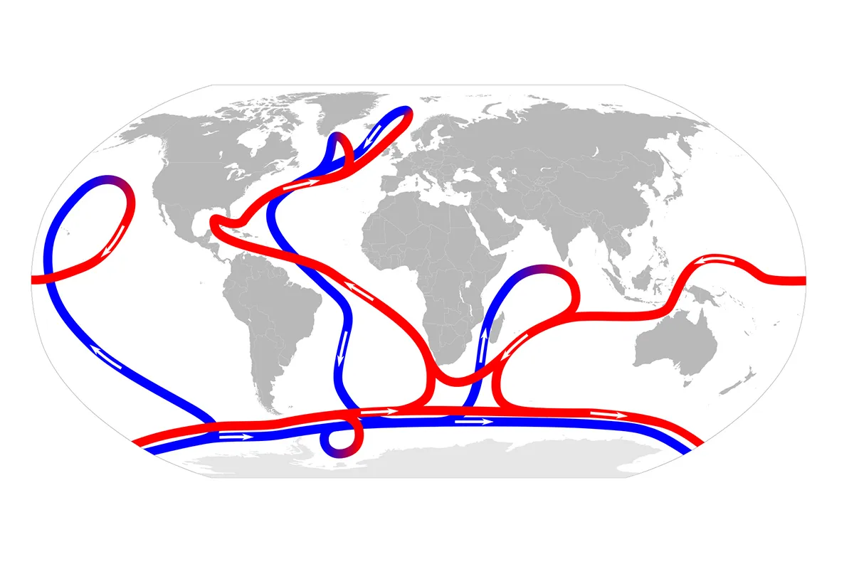 <p><span>movement of seawater in a pattern of flow dependent on variations in temperature</span></p><p><span>give rise to changes in salt content and hence in density.</span></p>