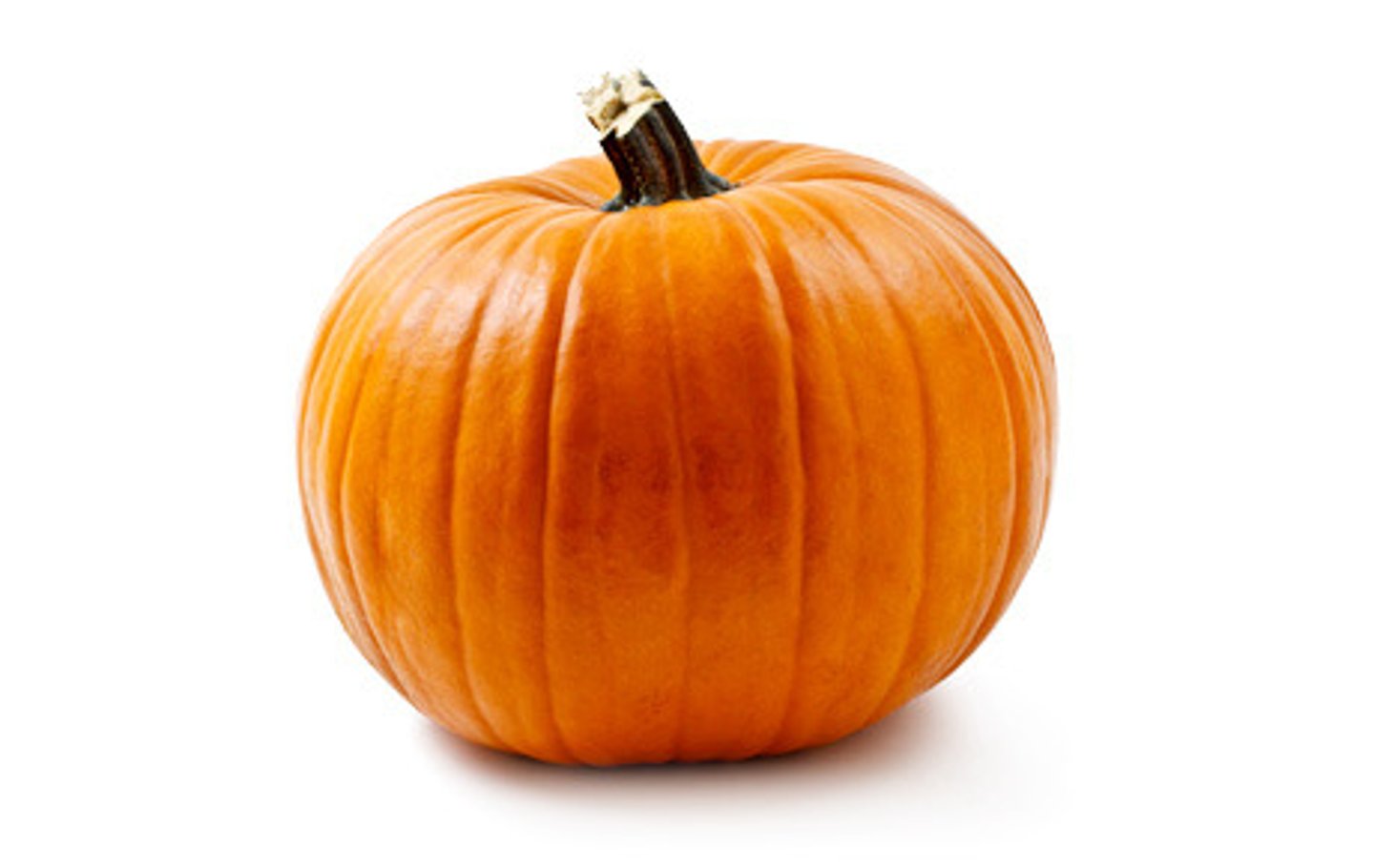 <p>pumpkin</p>