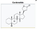 <p>Cardenolide Structure </p>