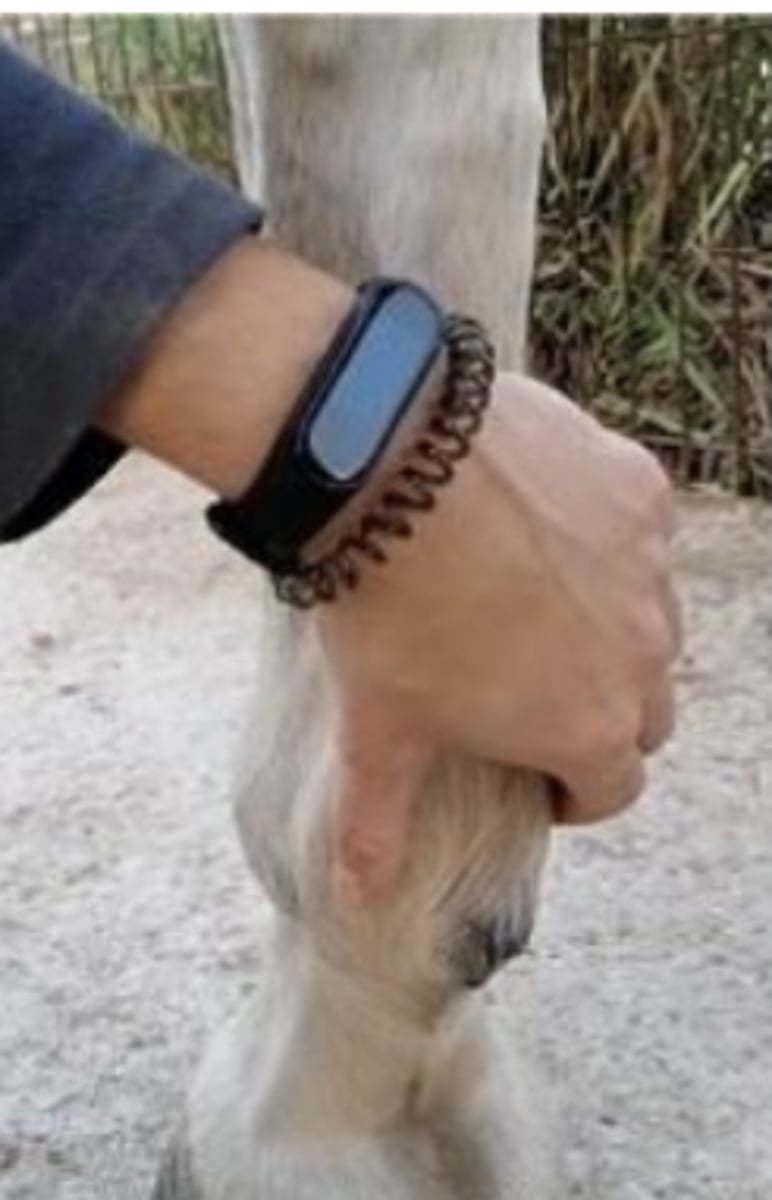 <p>what is happening here ?</p>