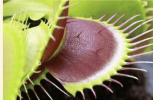 <p>What kind of modification is this?</p>