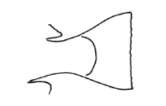 <p>What fin shape is this?</p>