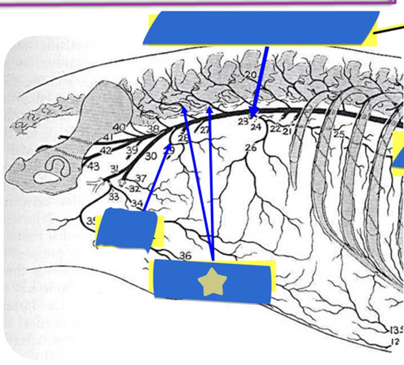 knowt flashcard image