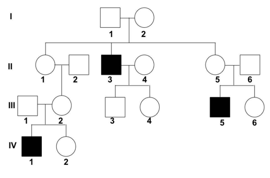 <p>Xác định kiểu di truyền trong cây phả hệ sau:</p>