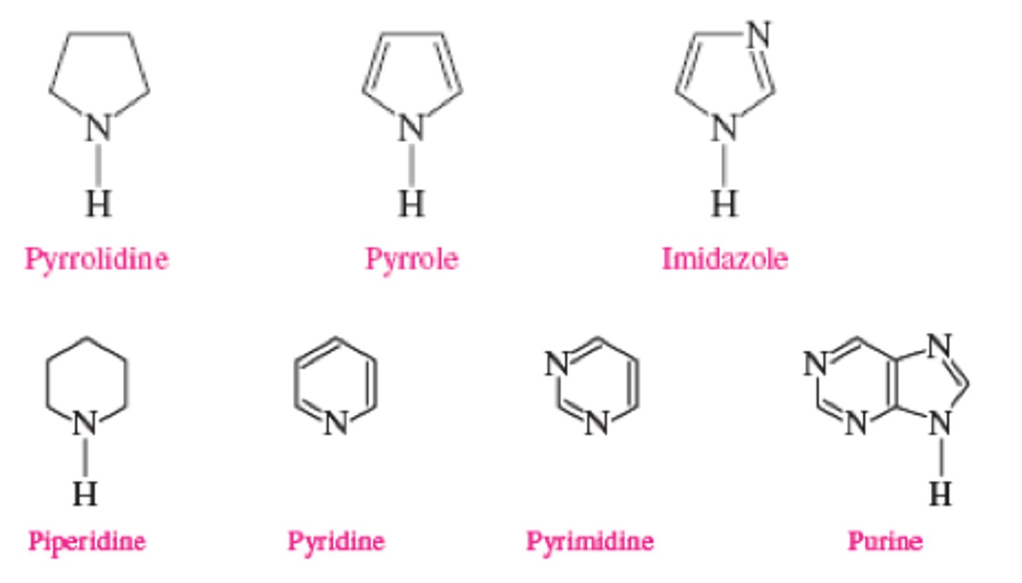 <p>Name of a cyclic organic compound</p><p>-has five or six-atom ring</p><p>-contains one or more nitrogen atoms</p>