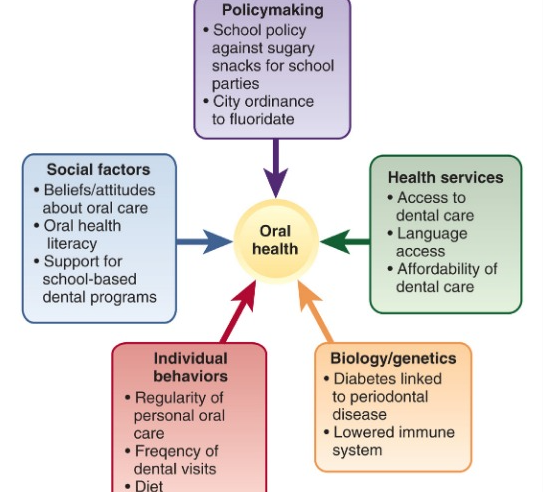 <p>Efforts</p><ul><li><p>cultural competence, health literacy, frameworks</p></li><li><p>collabs</p></li><li><p>holistic approach </p></li></ul><p></p>