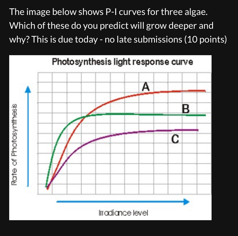 <p>Which of the three algae (A, B, or C) will grow deeper and why?</p>