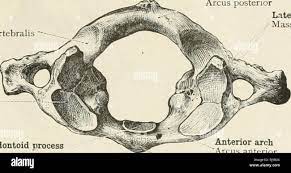 <p>oval indentation on the bottom</p>