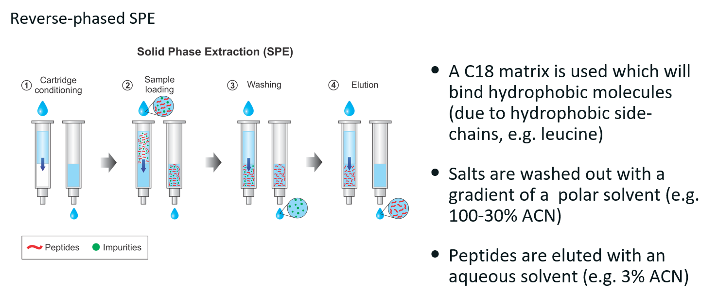 <p><span style="color: red"><strong>Reverse-phase SPE</strong></span></p><p>Technique used to <strong>remove salts and contaminants</strong> from peptide mixtures by leveraging hydrophobic interactions between the peptides and the <strong>C18 column matrix</strong> (similar to reverse-phased liquid chromatography).</p><ol><li><p><strong><u>Cartridge conditioning</u></strong></p></li><li><p><strong><u>Sample loading</u></strong></p><ul><li><p>Digested protein sample is loaded</p></li><li><p>Hydrophobic peptides bind to the C18 column matrix</p></li><li><p>Impurities (e.g. salts, polar contaminants) may not bind and can be washed away.</p></li></ul></li><li><p><strong><u>Washing</u></strong></p><ul><li><p>A polar solvent is used to wash away unbound and weakly bound impurities.</p></li><li><p>Peptides remain bound to the C18 matrix.</p></li></ul></li><li><p><strong><u>Elution</u></strong></p><ul><li><p>Peptides are eluted with an aqueous solvent.</p></li><li><p>This disrupts hydrophobic interactions, allowing peptides to elute into a clean collection tube.</p></li></ul></li></ol><p></p>