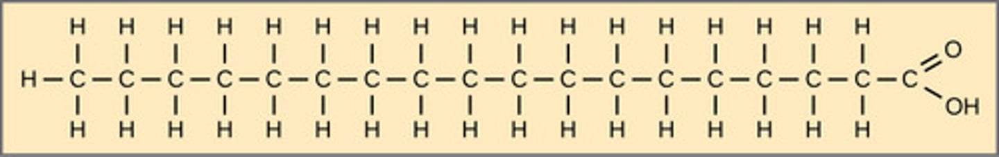 <p>saturated</p><p>(Note: are bad for</p><p>health since the straight</p><p>chains stack densely and</p><p>form fat plaques)</p>