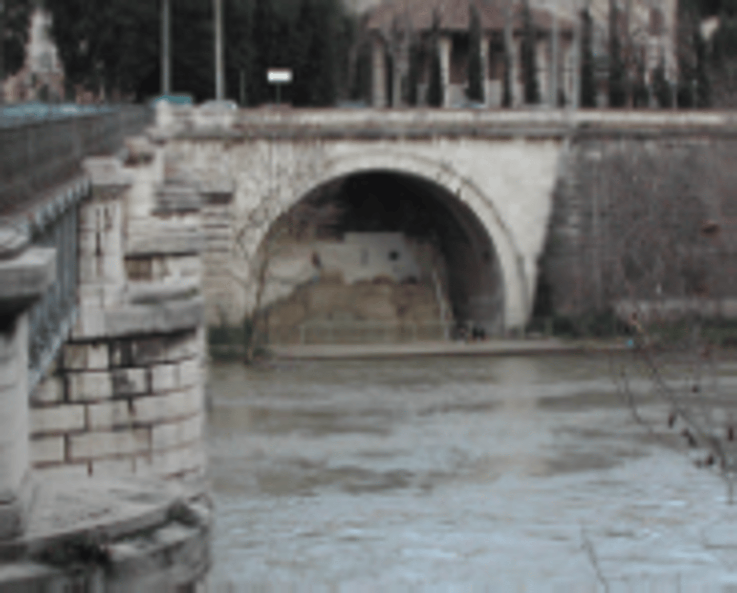 <p>human-made channels for transporting water</p>