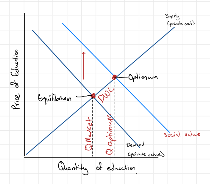 <p>Lead markets to produce a smaller quantity than is socially desirable</p>
