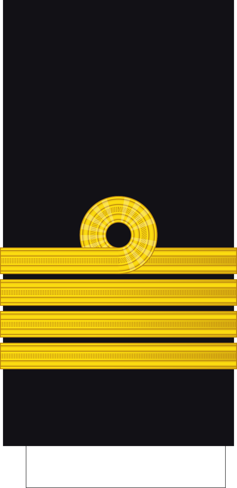 <p>What rank is this?</p>