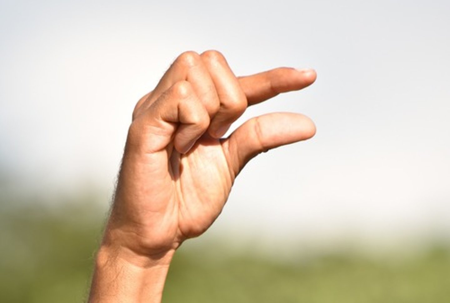 <p>little, few, less</p>