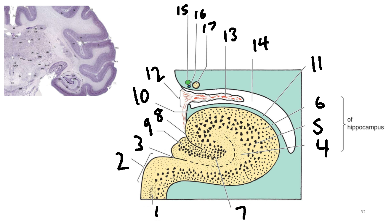 <p>What is 3?</p>