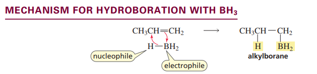 <p>BH<sub>3</sub> adds to the least substituted carbon</p>