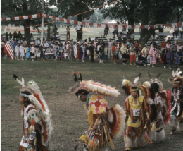 <p>Pan-tribal associations</p>