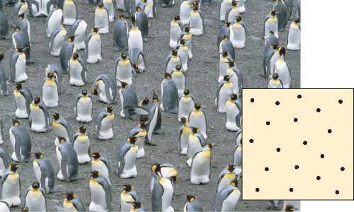 <p><strong>Uniform Dispersion</strong>. Example?</p>