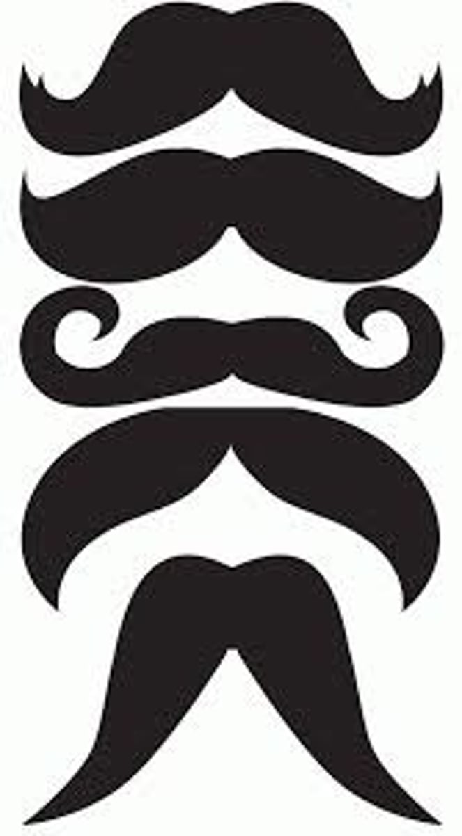 <p>mustache</p>