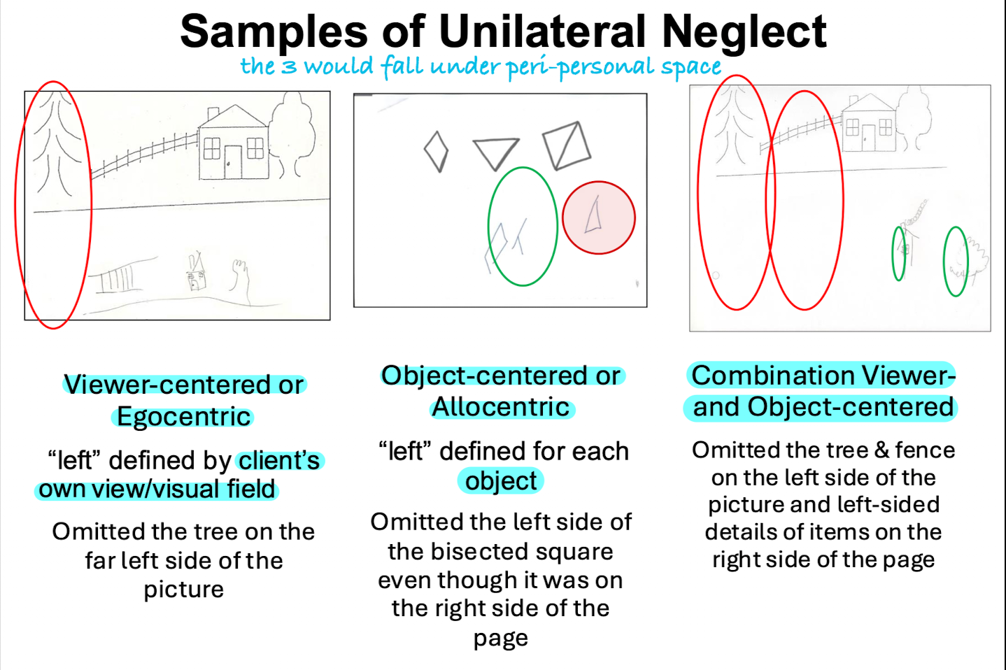 <ul><li><p>Viewer-centered (Egocentric)</p></li><li><p>Object-centered (Allocentric) </p></li><li><p>Combination Viewer- &amp; Object-centered</p></li></ul><p></p>