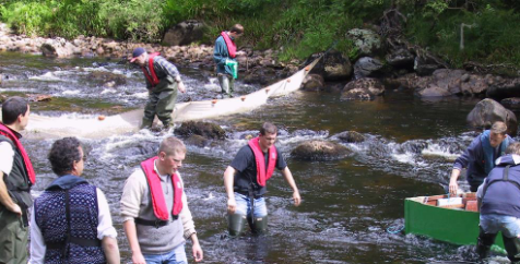 <p>Rivers </p>