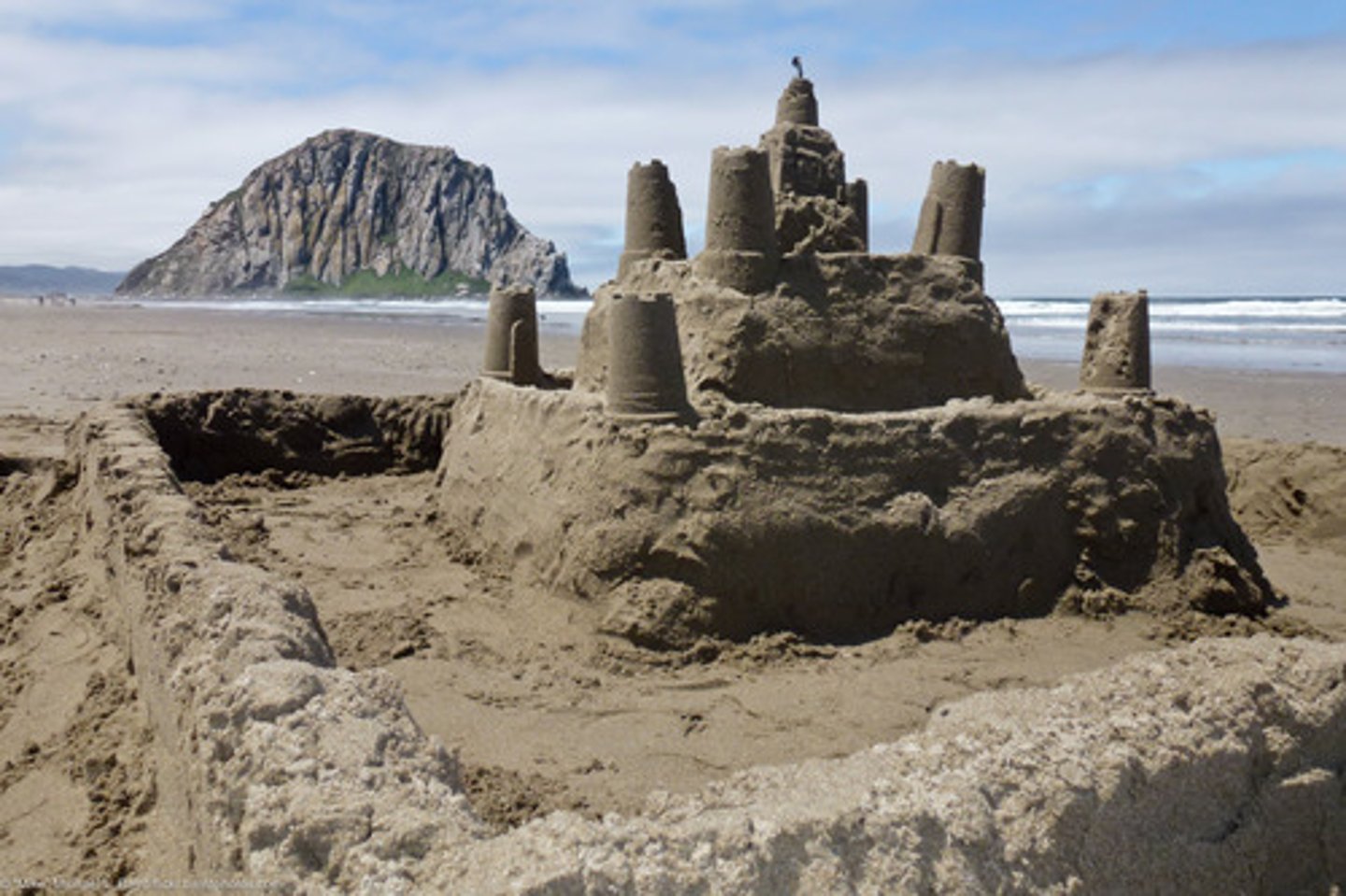 <p>to make sandcastles</p>