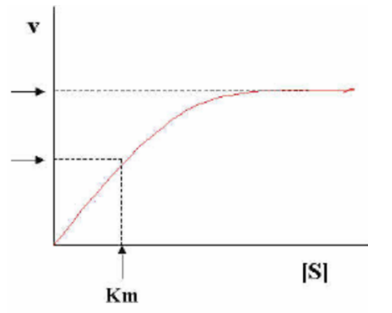 <p>The graph below shows the formation of product versus time in the presence of an enzyme. What does the Km represent?</p><p>a) The Km is 1⁄2 of the Vmax and represents the binding affinity of the substrate-enzyme interaction</p><p>b) It is the maximum rate of the reaction</p><p>c) The entropy of the reaction</p><p>d) The reaction has reached equilibrium</p><p>e) The DG of the reaction is positive</p>