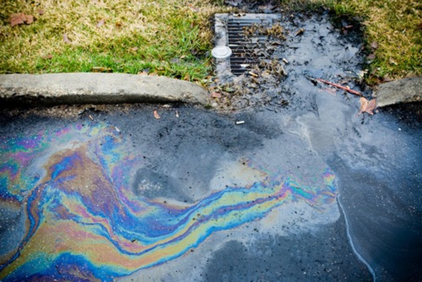 <p>Gasoline, oil, pesticides; can harm aquatic life</p>