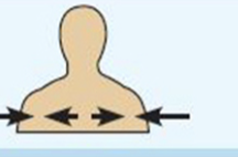 <p>between a more medial and a more lateral structure </p><p></p><p>example: the collarbone is intermediate between the breastbone and shoulder </p>