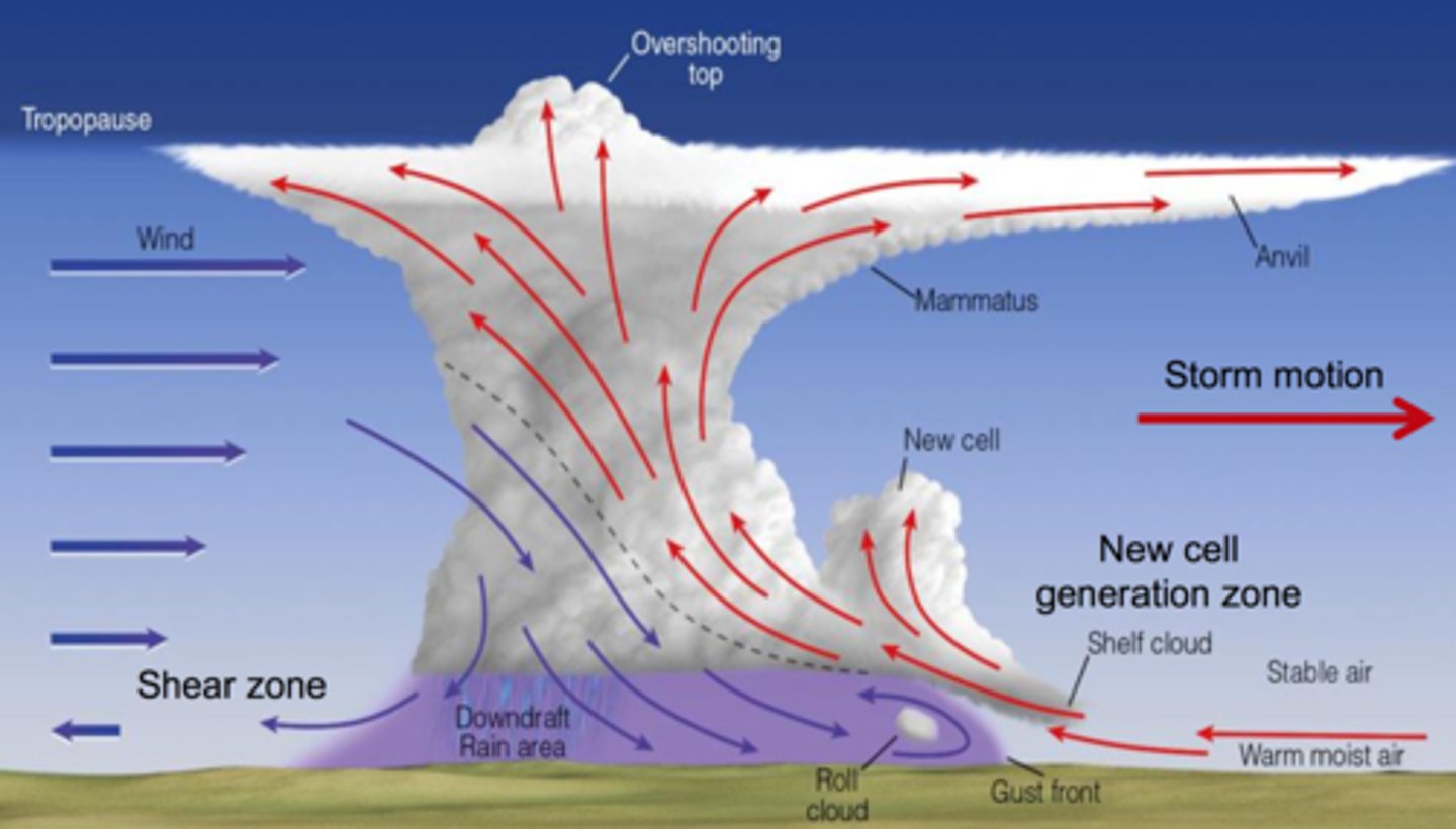 <p>Clusters of t-storms that form in different stages in one area</p><p>The updrafts are stronger and support more continuous convection than a "pop-up" storm</p>