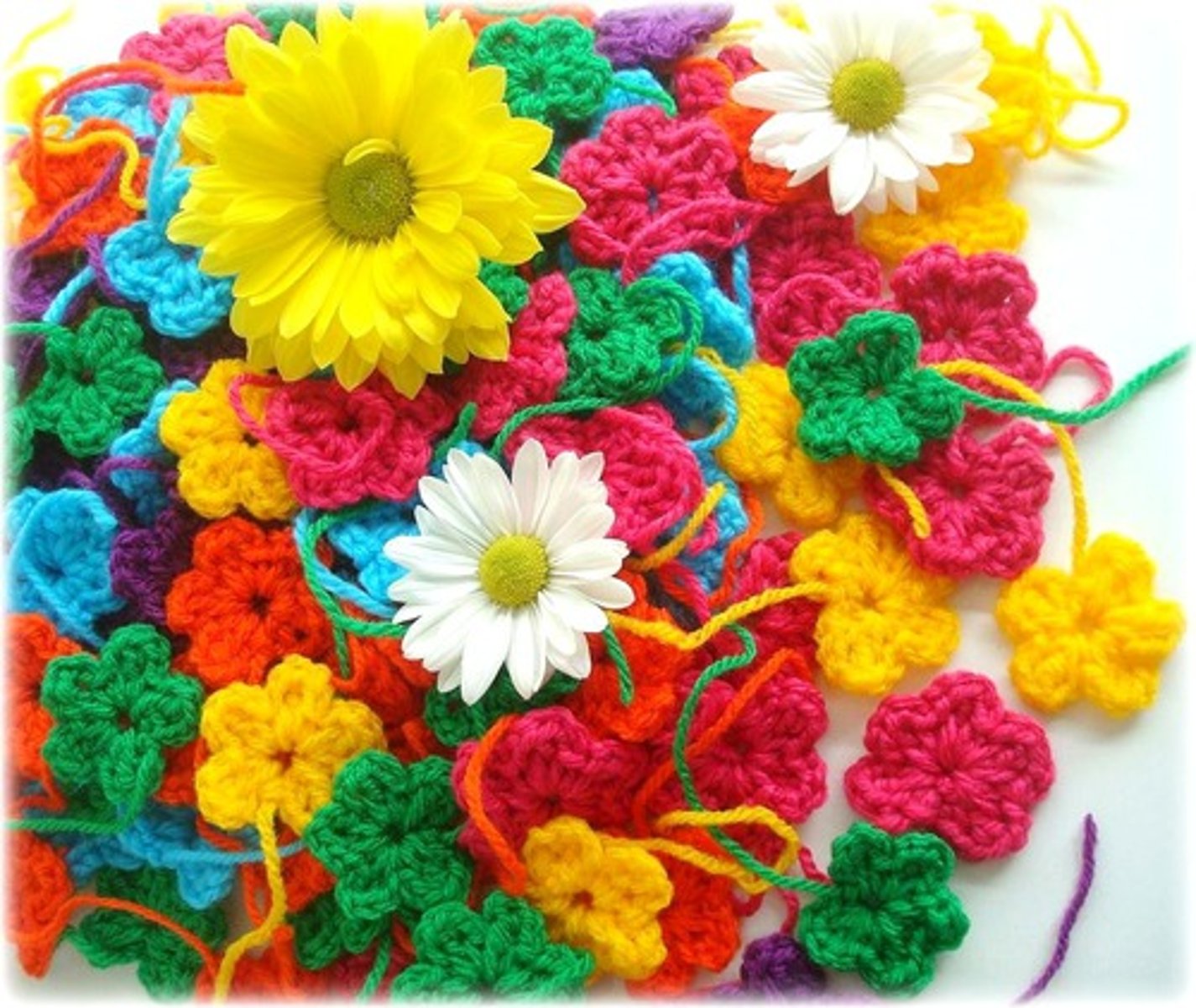 <p>Tiene muchos colores.</p>