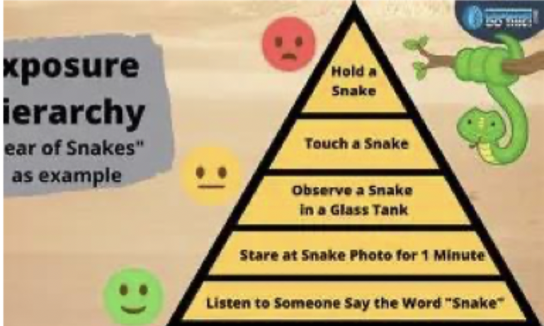 <p>Exposure therapy</p><ul><li><p>Most effective treatment for anxiety disorders</p></li><li><p>identify fears</p></li><li><p>make a hierarchy</p></li><li><p>start low, increase difficulty within reason (can also jump around)</p></li><li><p>Stay in each situation for at least 20-30 minutes.</p></li></ul><p></p><p><mark data-color="yellow" style="background-color: yellow; color: inherit;">The role of habituation in recovery</mark></p><ul><li><p>habituation may occur across one session and across multiple sessions, habituation is the reason we must stay with a feared stimulus for so long</p></li></ul><p></p>