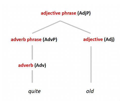 <p>adjectives as heads</p><p>quite <strong><u>old</u></strong>; moderately <strong><u>expensive</u></strong></p><p>constituents of AdjPs </p><ul><li><p>modifiers </p><ul><li><p>adverb phrases AdvP (incl. degree adverbs, e.g. very, quite= heads of adverb phrases) </p></li><li><p>e.g. <strong><u>moderately </u></strong>expensive </p></li></ul></li></ul><ul><li><p>prepositional phrases PP </p><ul><li><p>e.g. long<strong><u> in the arms</u></strong></p></li></ul></li></ul><p></p>