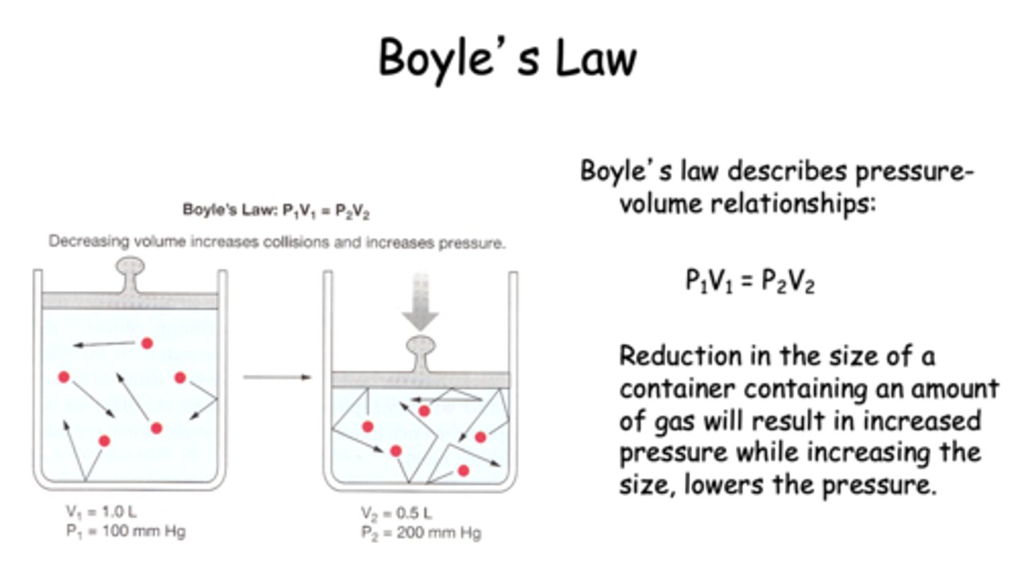 <p>increase</p>