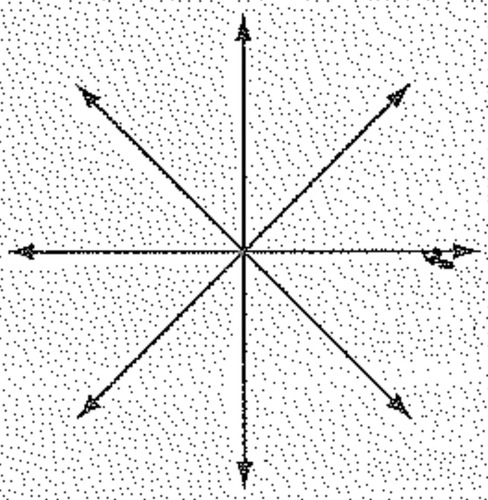 <p>Wheel/Ray Method</p>