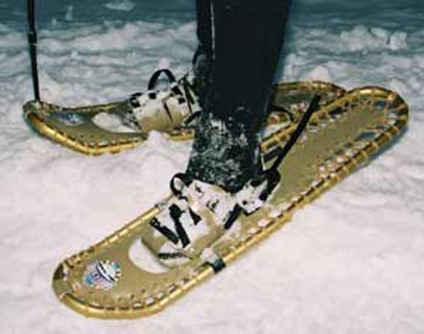 <p>snow shoes</p>