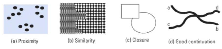 <ul><li><p>identified principles that the visual system follows to organize incoming data and recognize objects</p><ul><li><p>proximity</p></li><li><p>simalarity</p></li><li><p>closure</p></li><li><p>good continuation</p></li></ul></li></ul><p></p>