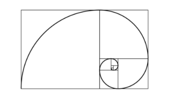 <p><span>The figure below is identified to be:</span></p>
