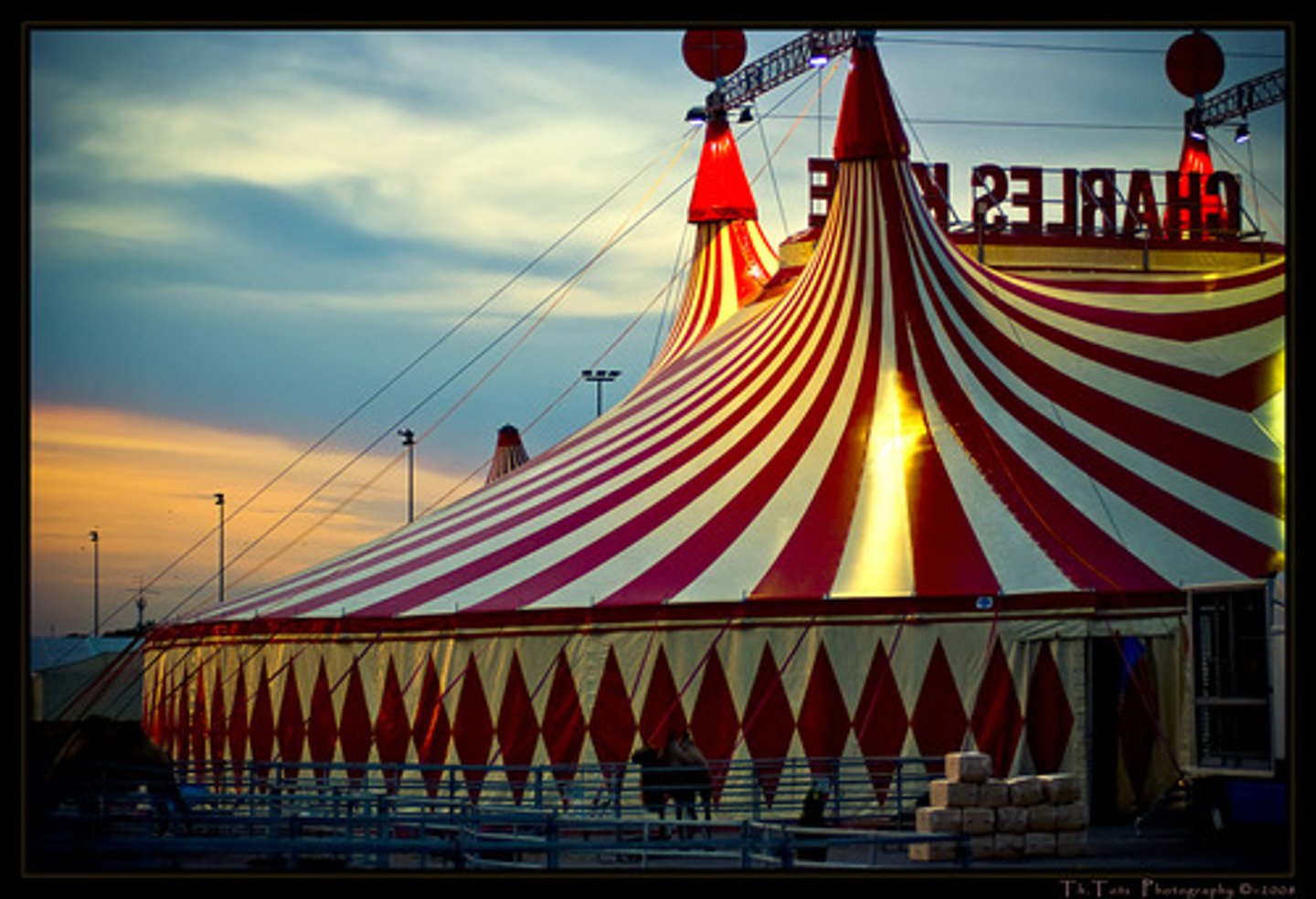 <p>circus</p>