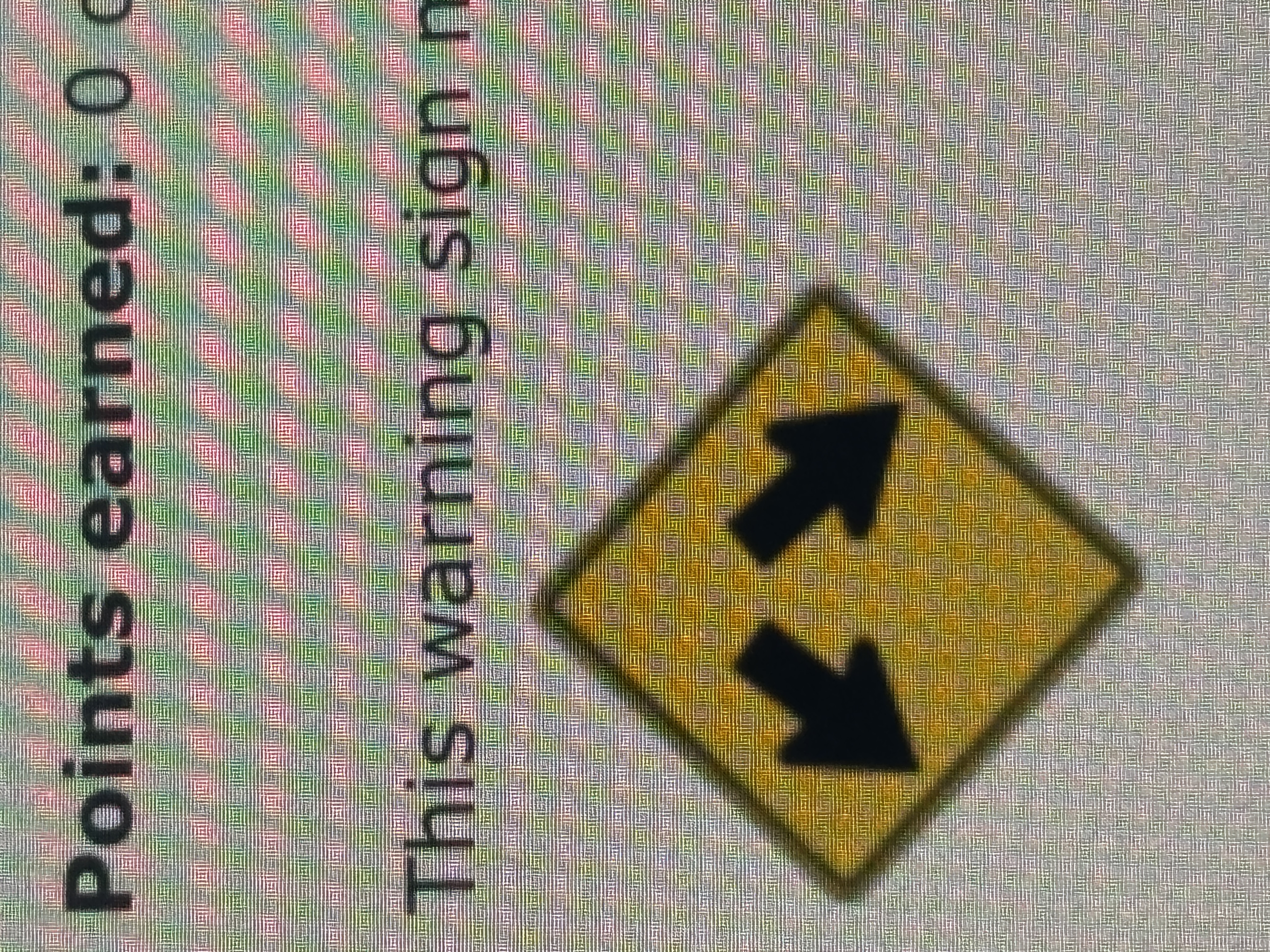 term image