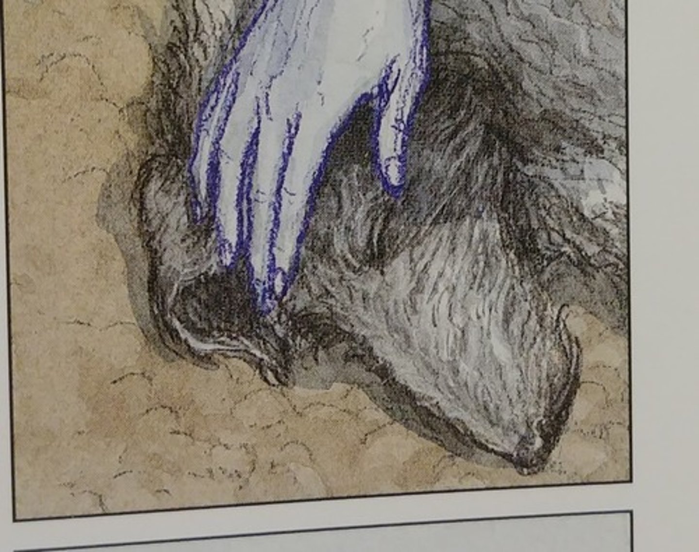 <p>Odysseus's dog. Dies after seeing his master. Is taken by Athena.</p>